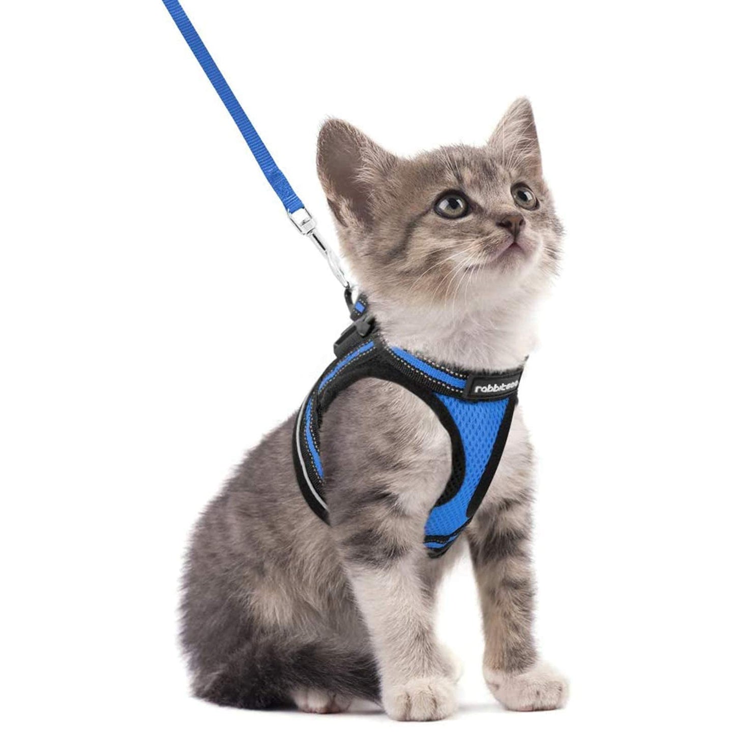 rabbitgoo Juego de arnés y correa para gatos para caminar a prueba de escape, chaleco suave ajustable para gatitos con tira reflectante para gatos extra pequeños y pequeños, arnés cómodo para el aire libre a prueba de choke