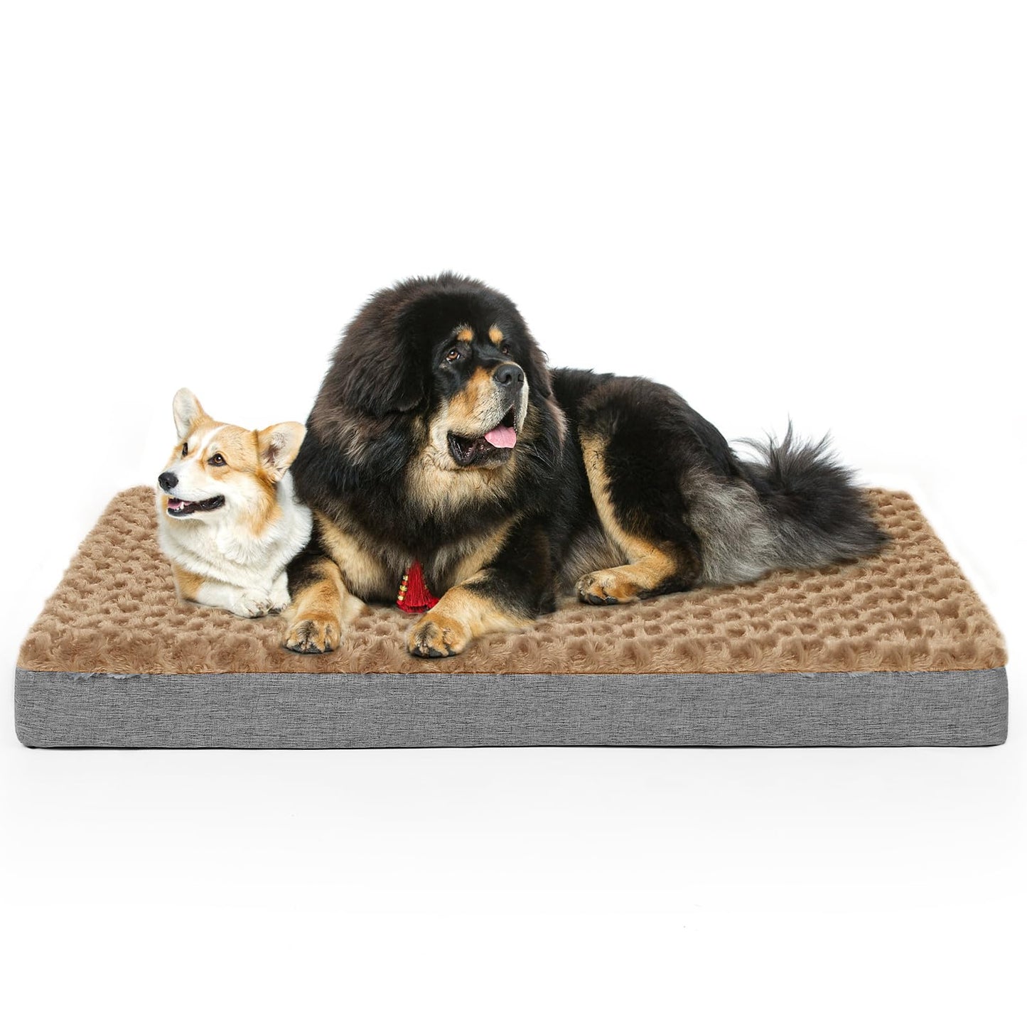 Arien Cama Ortopédica para Perros Grandes, Almohadillas para Jaulas Con Funda Extraíble y Suave Piel Sintética, Lavable Con Fondo Antideslizante