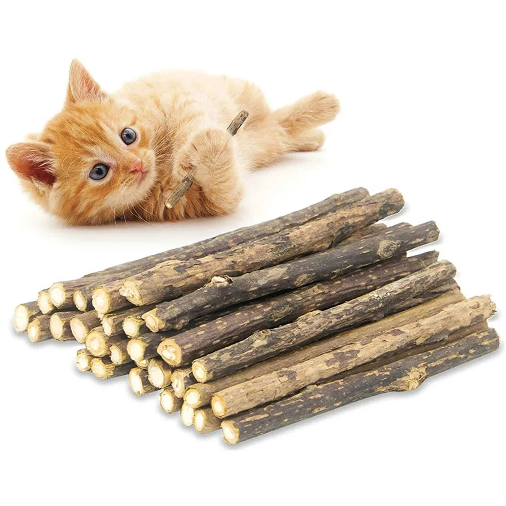 🌿 Palitos de Matatabi Masticables para Gatos (15 pzs)