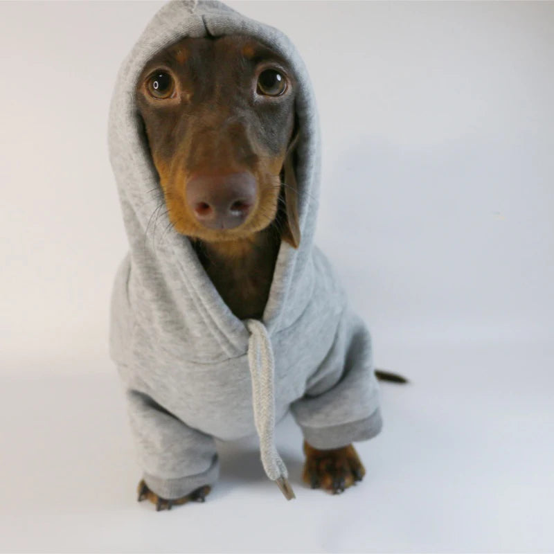🌭 Sudadera Salchicha para Perros Pequeños
