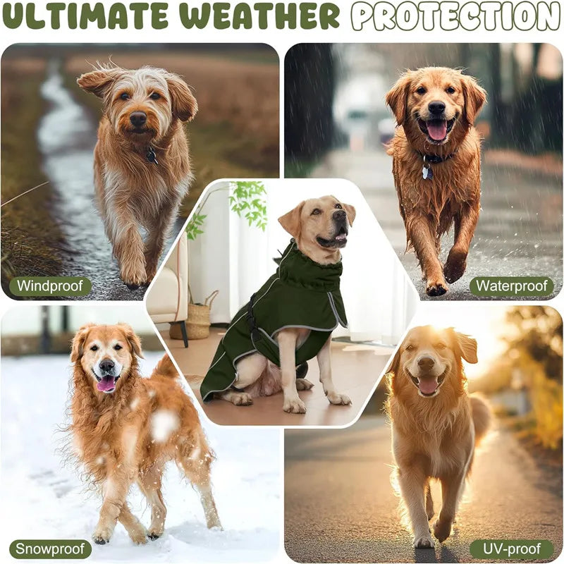 ☔ Impermeable Rompevientos para Perros