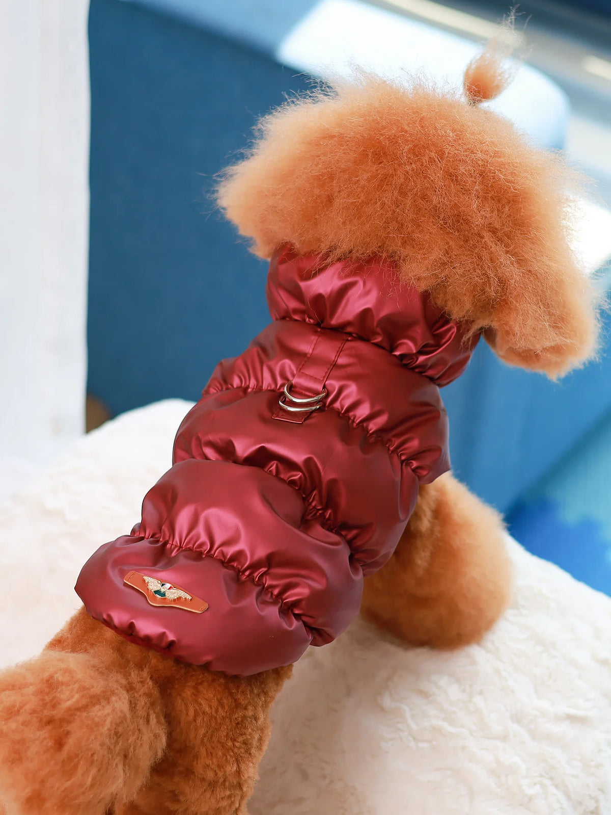 🧥 Abrigo Térmico de 3 Capas para Perros