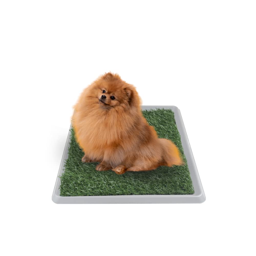 Fancy Pets Tapete de Entrenamiento para Perros Doggie Grass GDE | Pasto Sintético con Bandeja y Rejilla | Control de Olores y Fácil Limpieza