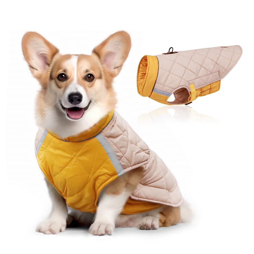 Chaleco para Perro, Ropa de Invierno para Mascotas,Chaqueta Térmica Impermeable y Resistente al Viento con Banda Reflectante, Protección contra El Viento de Moda Abrigos para Perros (2XL)