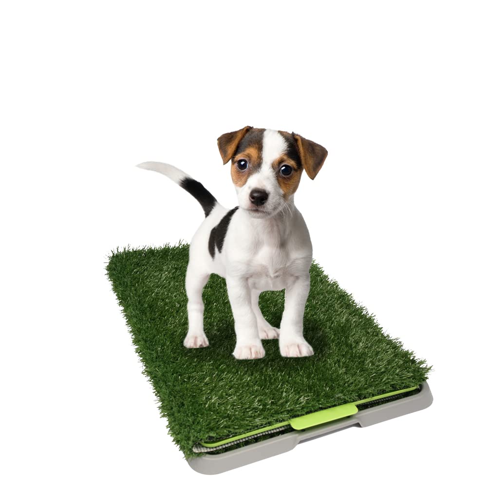 Fancy Pets Tapete de Entrenamiento para Perros Doggie Grass GDE | Pasto Sintético con Bandeja y Rejilla | Control de Olores y Fácil Limpieza