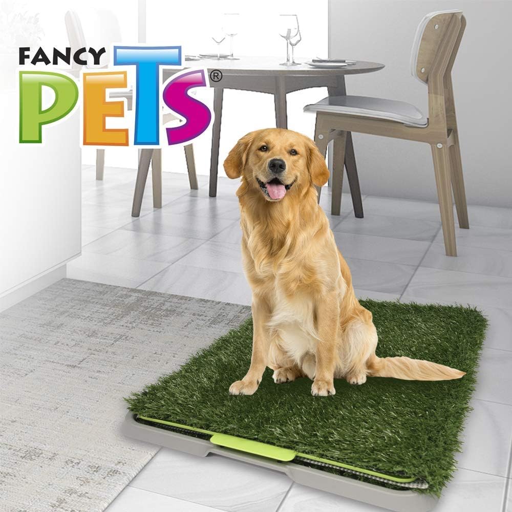 Fancy Pets Tapete de Entrenamiento para Perros Doggie Grass GDE | Pasto Sintético con Bandeja y Rejilla | Control de Olores y Fácil Limpieza