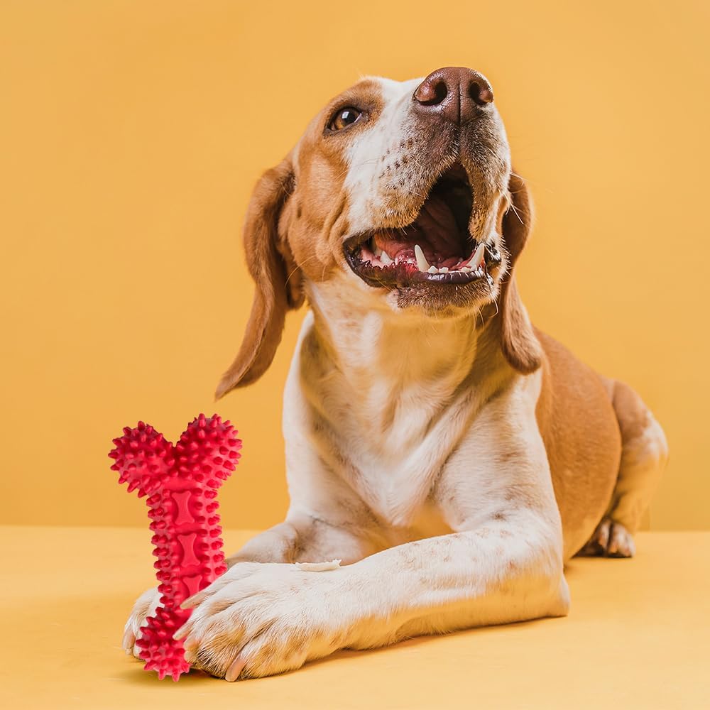 Fancy Pets Juguete en Forma de Hueso de Caucho para Perro, Varios Colores