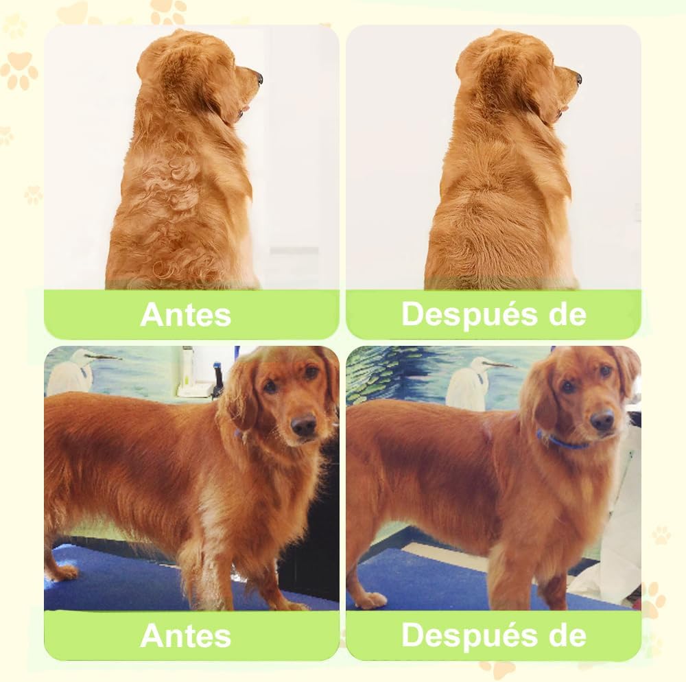 Cepillo Vapor eléctrico para perro, Cepillo de gato de vapor auto limpieza, Cepillo vapor para mascotas para masaje, Cepillos de Aseo para Mascotas, Para depilación, masaje y peinado de mascotas(verde)