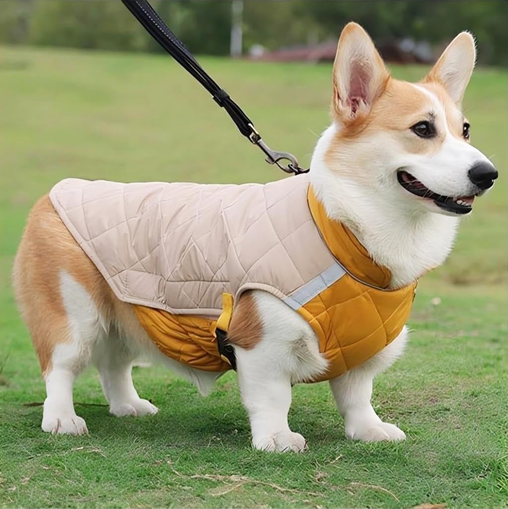 Chaleco para Perro, Ropa de Invierno para Mascotas,Chaqueta Térmica Impermeable y Resistente al Viento con Banda Reflectante, Protección contra El Viento de Moda Abrigos para Perros (2XL)