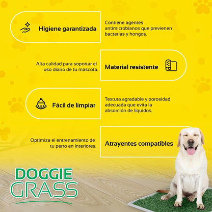 Fancy Pets Tapete de Entrenamiento para Perros Doggie Grass GDE | Pasto Sintético con Bandeja y Rejilla | Control de Olores y Fácil Limpieza