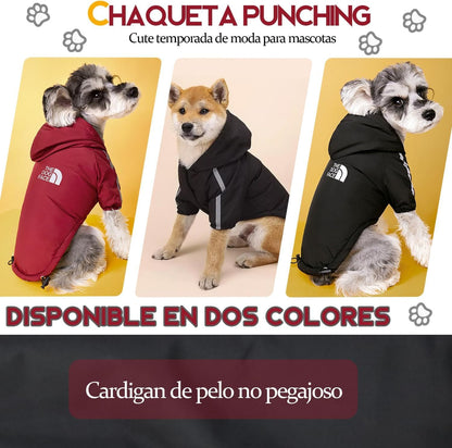 Abrigo para Perro, Abrigo para Perros para Clima Frío, Abrigos de Invierno Impermeable para Mascotas, Engrosar para Mantenerse Caliente Suéter para Perro con Sombrero