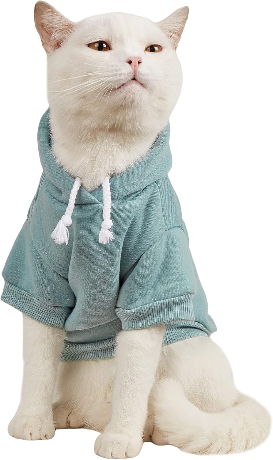 QWINEE Sudadera básica sólida para mascotas para perros y gatos, chaqueta cálida, sudadera con capucha para perro, trajes de gato, abrigo para mascotas para perros pequeños y medianos, gatos, azul cadete, L