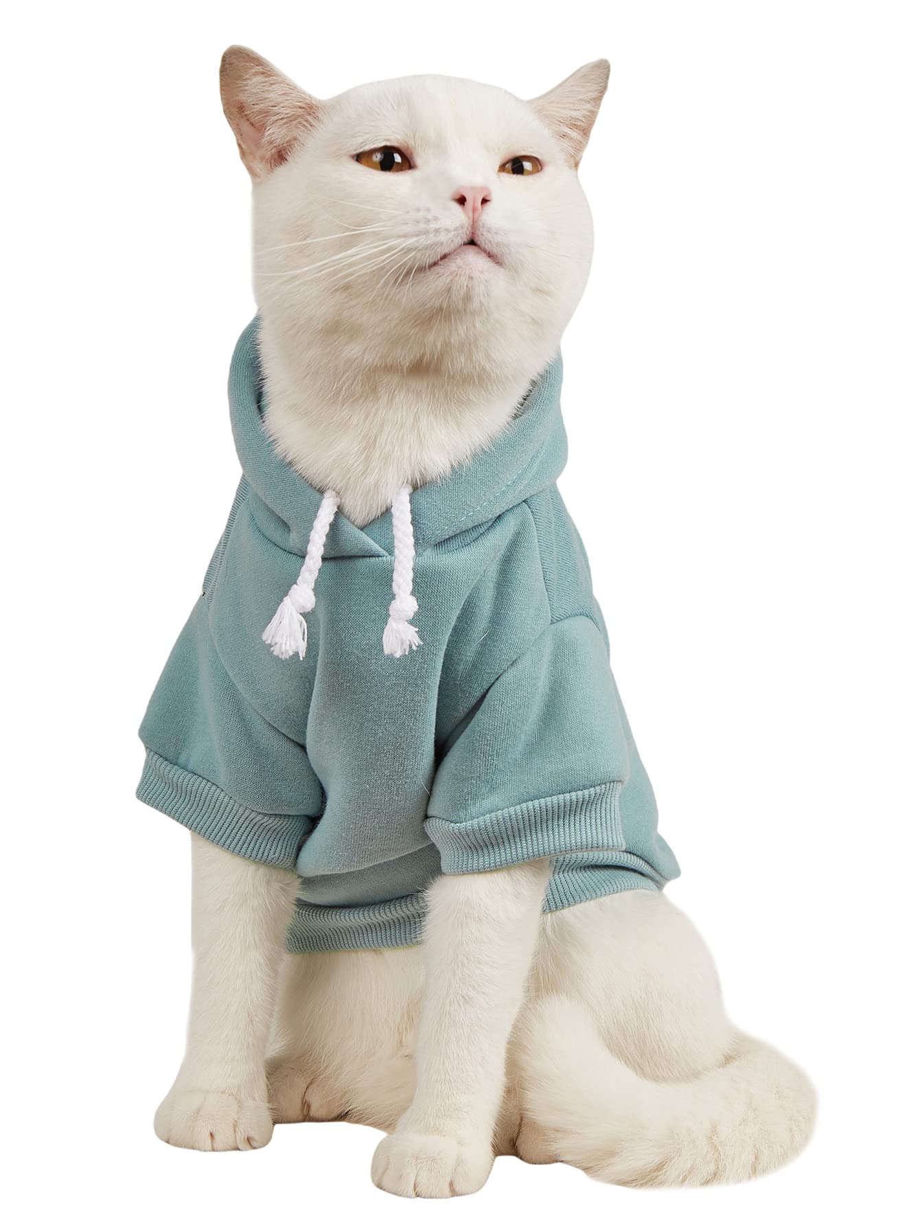 QWINEE Sudadera básica sólida para mascotas para perros y gatos, chaqueta cálida, sudadera con capucha para perro, trajes de gato, abrigo para mascotas para perros pequeños y medianos, gatos, azul cadete, L