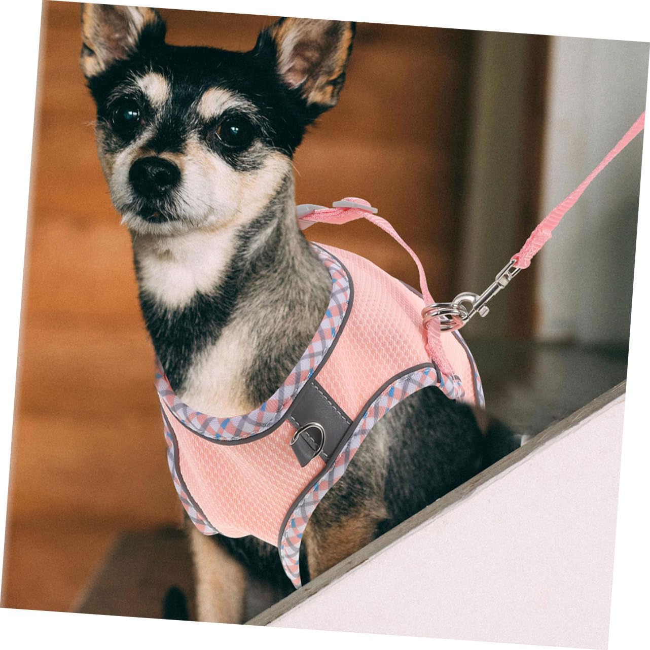 SUPVOX Chaleco para Pasear Perros Resistente con Correa para Perros Pequeños Y Grandes Accesorio para Cachorros