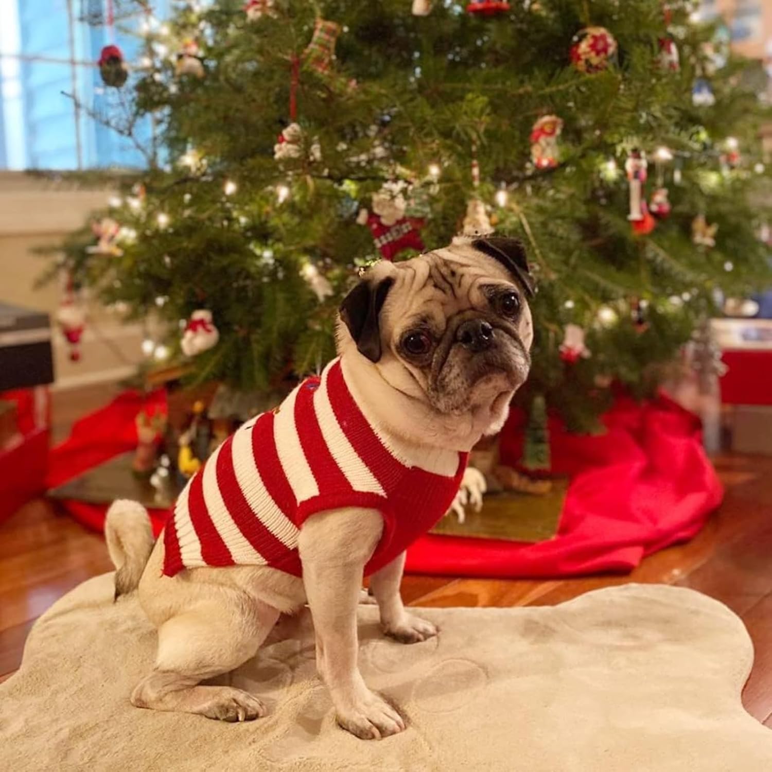 Genérico Suéter de Mascota cálido Invierno Moda Vestido navideño Ciervo Ropa para Gatos y Perros con diseños Lindos Tejido Corte científico Movimiento sin restricciones