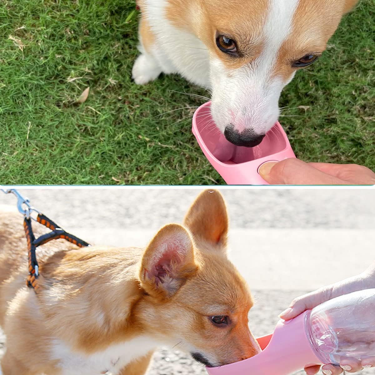 Botella de Agua para Perros, Botella de Agua Portátil Plegable Mascotas, Dispensador Agua Cachorros a Prueba Fugas con Alimentador Mascotas Caminar al Aire Libre, Senderismo Viajes (R-M-550ML)
