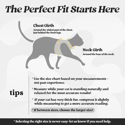 rabbitgoo Juego de arnés y correa para gatos para caminar a prueba de escape, chaleco suave ajustable para gatitos con tira reflectante para gatos extra pequeños y pequeños, arnés cómodo para el aire libre a prueba de choke