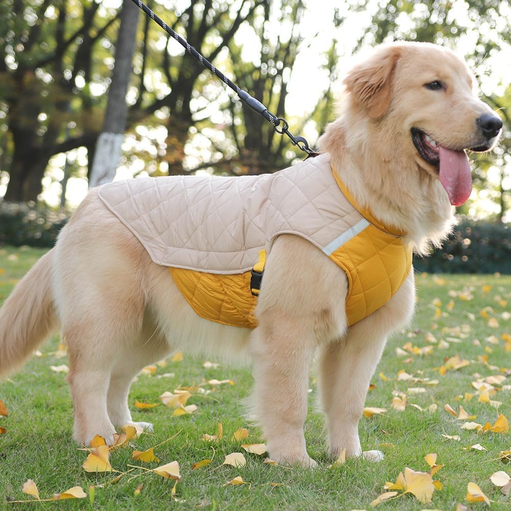 Chaleco para Perro, Ropa de Invierno para Mascotas,Chaqueta Térmica Impermeable y Resistente al Viento con Banda Reflectante, Protección contra El Viento de Moda Abrigos para Perros (2XL)