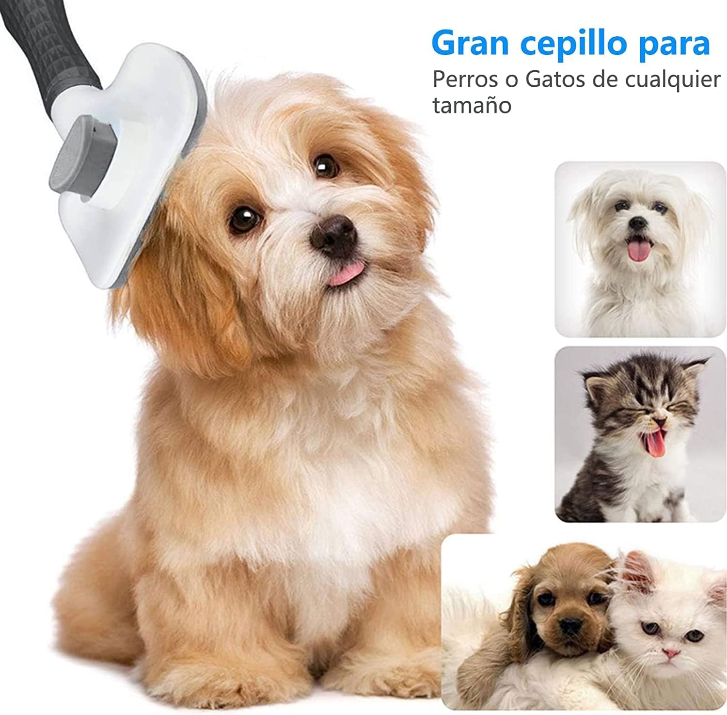 Aorpdd Cepillo de Perros Gato - Cepillo Para Perros y Gatos Removedor de Cabello,Cepillo de Pelo de Gato con Cabeza de Goma de Acero Inoxidable Flexible, Depiladora para Animales Pequeños (Gray)