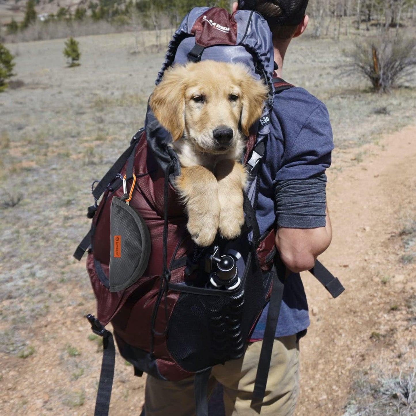 LumoLeaf Tazón plegable para perro, 1 paquete de cuencos plegables grandes y ligeros, para agua y alimentos para mascotas, perros, gatos con cremallera (8 tazas)