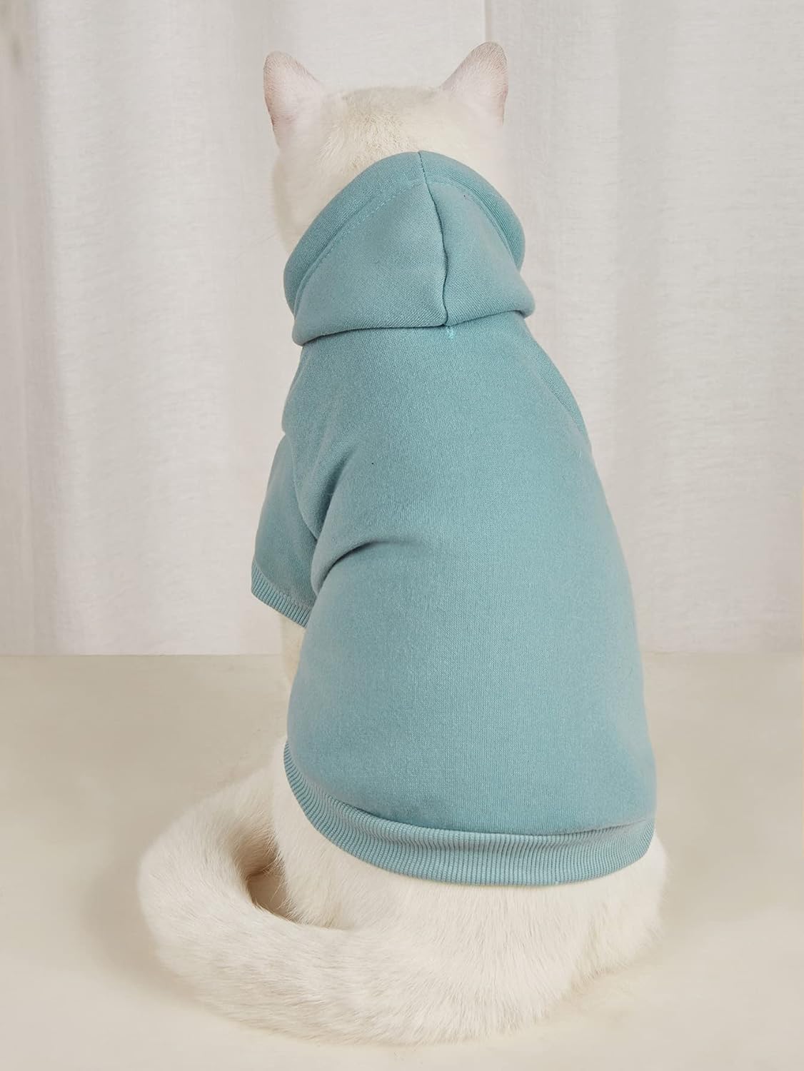 QWINEE Sudadera básica sólida para mascotas para perros y gatos, chaqueta cálida, sudadera con capucha para perro, trajes de gato, abrigo para mascotas para perros pequeños y medianos, gatos, azul cadete, L