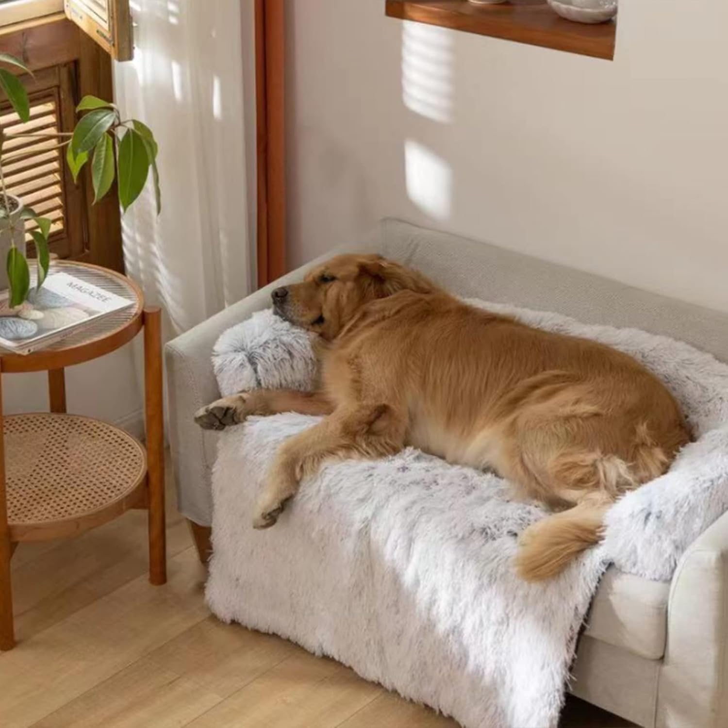 Bluelander Cama para Perro, Todo Tipo de Razas, Cama para Perros Suavecita, Fabricado con Algodón y Felpa de Calidad, Cama para Gato, Tapete para Sofa, Apto para Lavadora (Gris, Mediano)