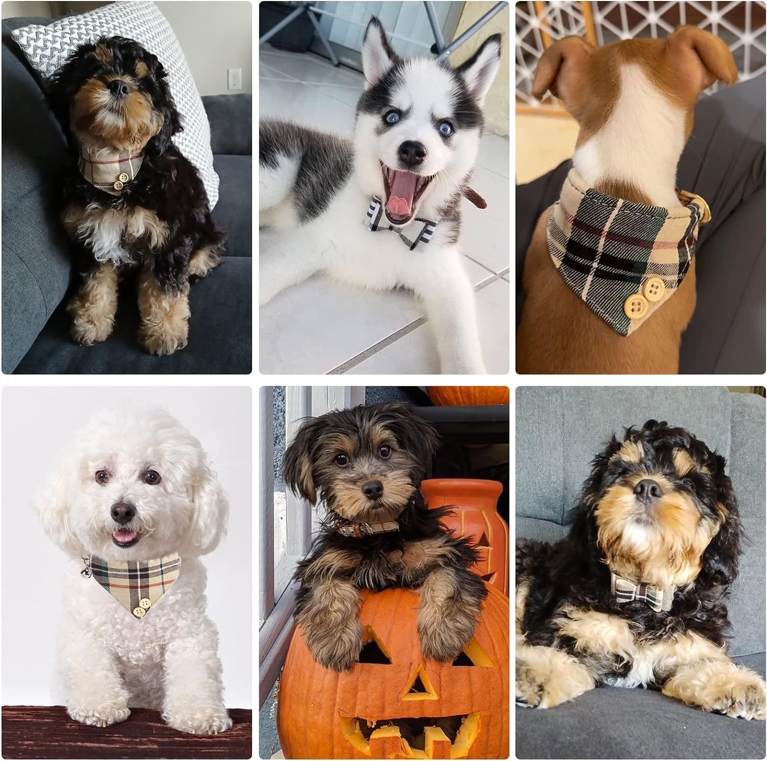 Juego de collar y correa para perros pequeños, collar de correa para cachorros, diseño clásico a cuadros, tamaño ajustable con campana dorada, perfecto para razas pequeñas y niños