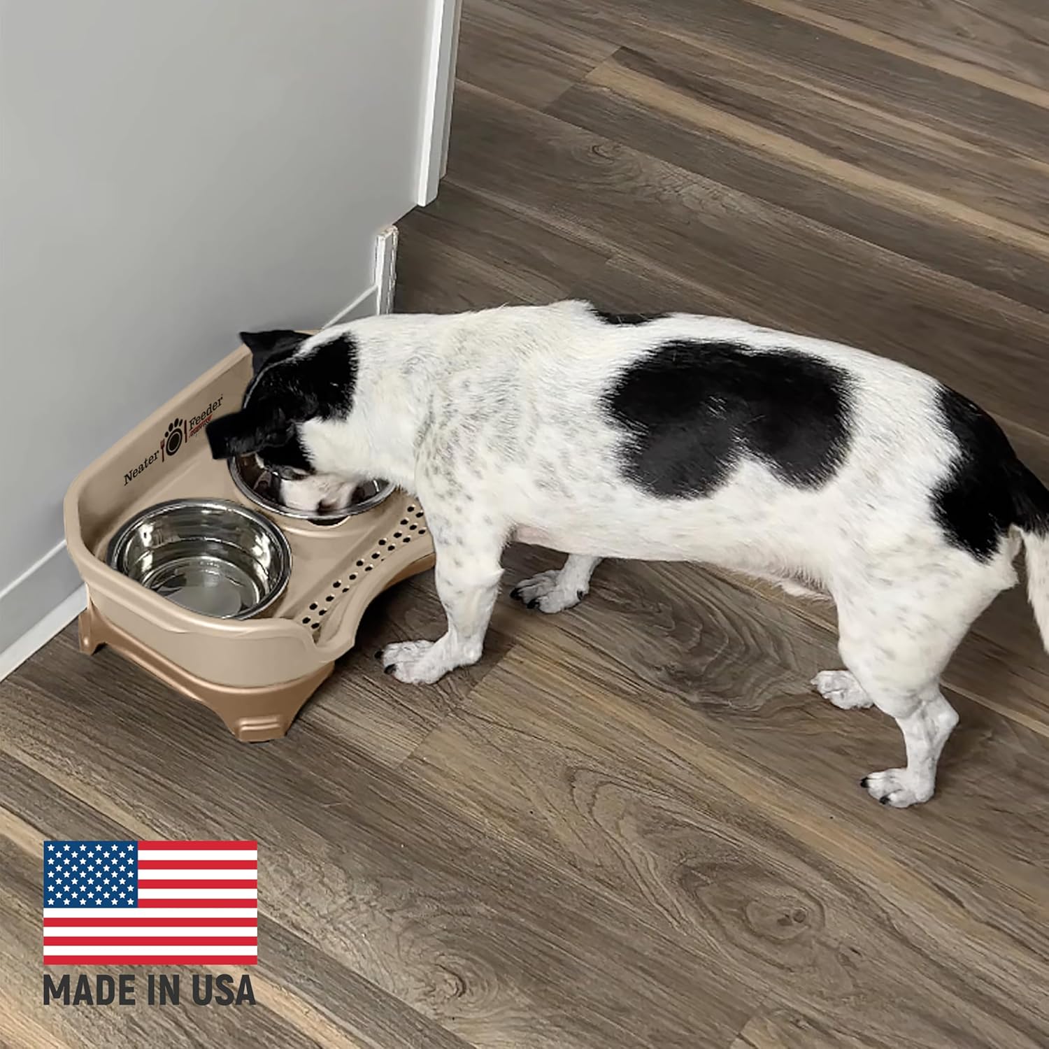 Neater Feeder Express (Perro pequeño), con Cuencos de Acero Inoxidable para Perros y comedero para Mascotas a Prueba de desorden