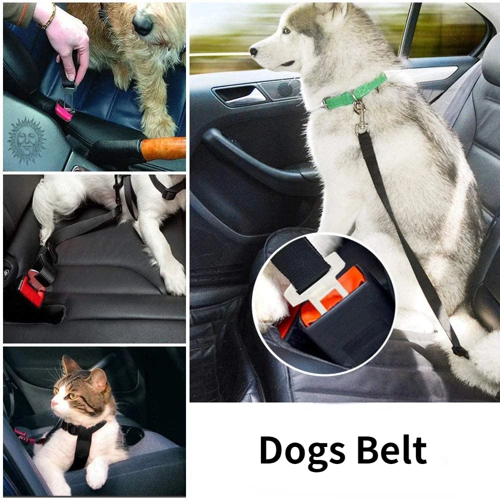 🚗 Cinturón de Seguridad Ajustable para Mascotas en Auto