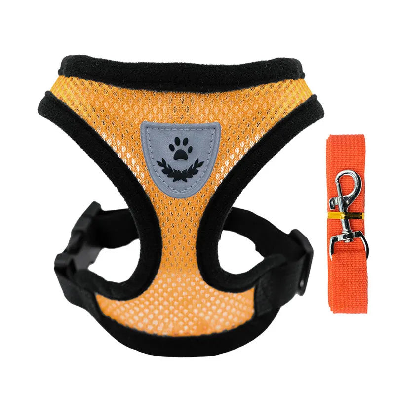 🦺 Arnés de Malla con Correa para Gatos y Perros Pequeños