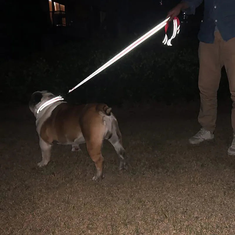🌙 Arnés con Correa Reflejante para Perros