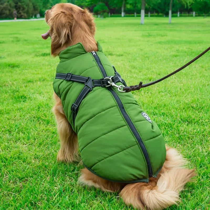 🧥 Chamarra con Arnés para Perros Grandes