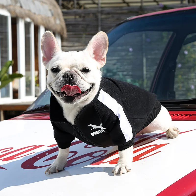⚾ Chamarra Beisbolera para Perros