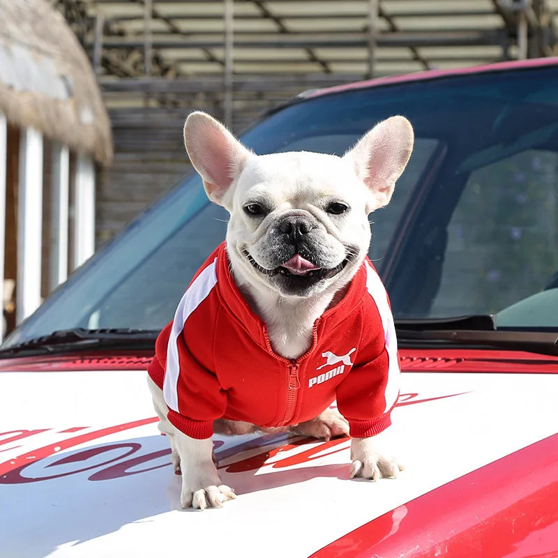 ⚾ Chamarra Beisbolera para Perros