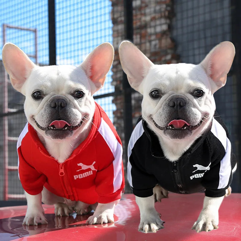 ⚾ Chamarra Beisbolera para Perros