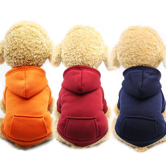 🧥 Sudadera Europea con Capucha para Perro