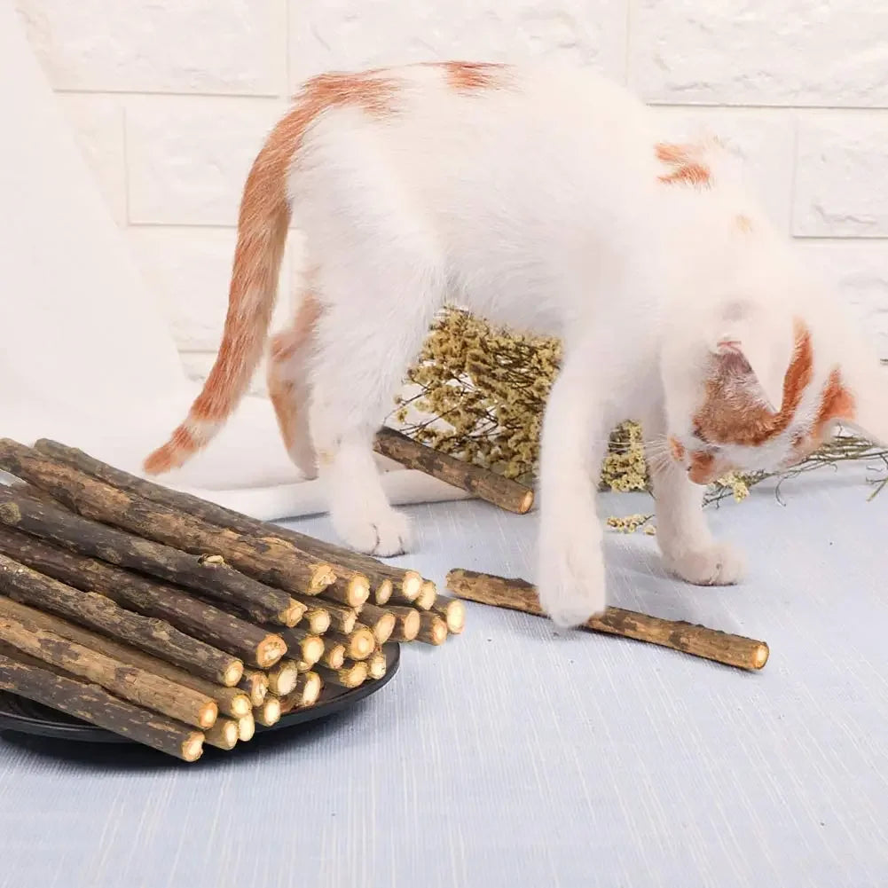 🌿 Palitos de Matatabi Masticables para Gatos (15 pzs)
