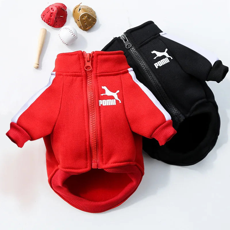 ⚾ Chamarra Beisbolera para Perros