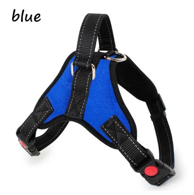 🦺 Pechera Chaleco Reflejante para Perros