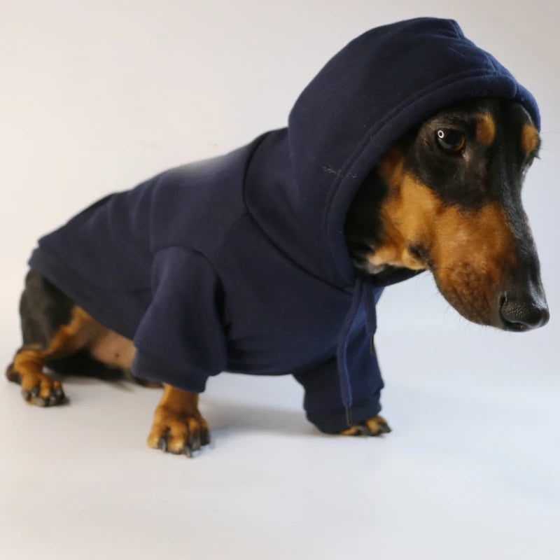 🌭 Sudadera Salchicha para Perros Pequeños