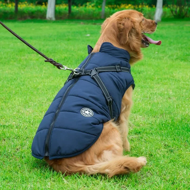 🧥 Chamarra con Arnés para Perros Grandes