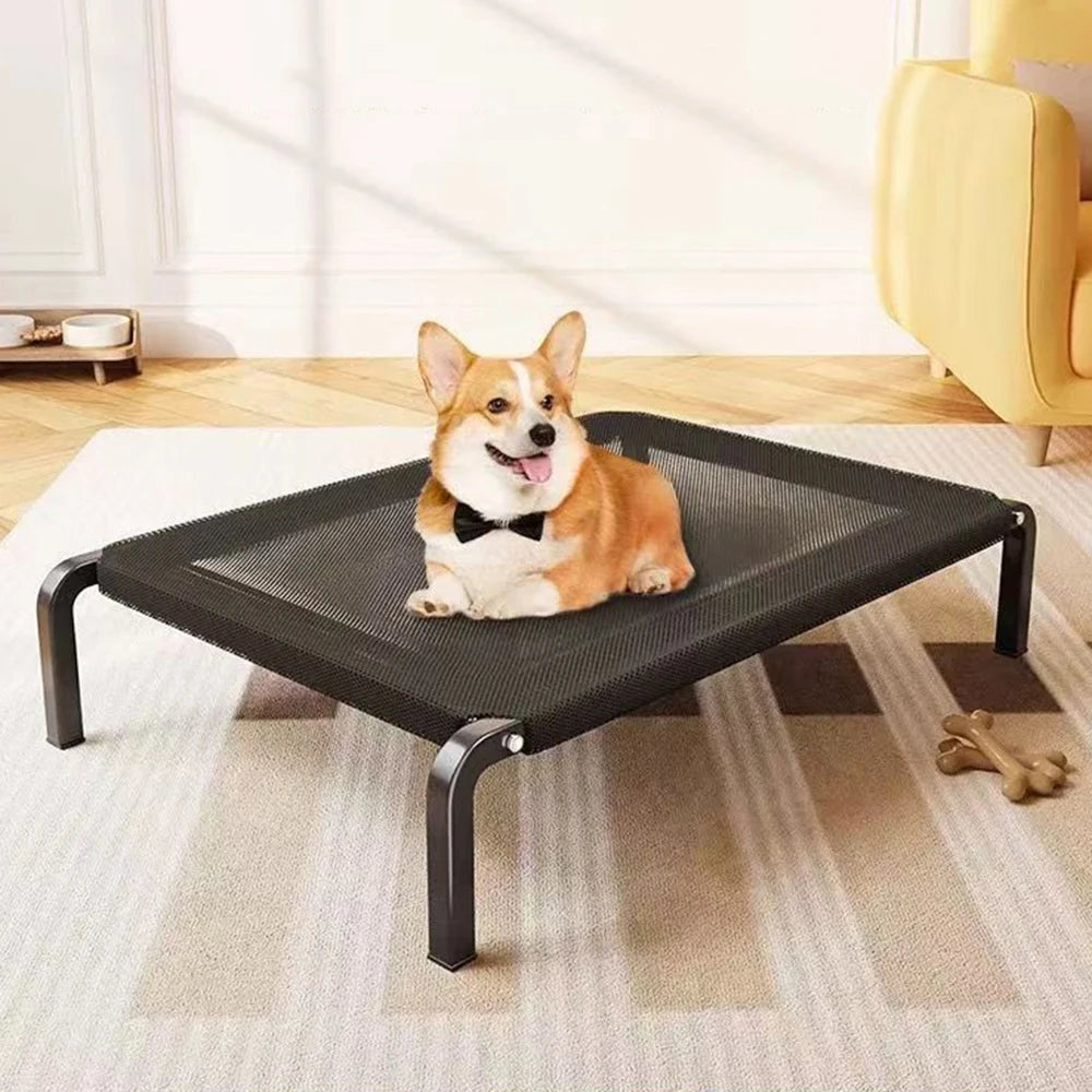🛏️ Cama Elevada Portátil para Perros Grandes