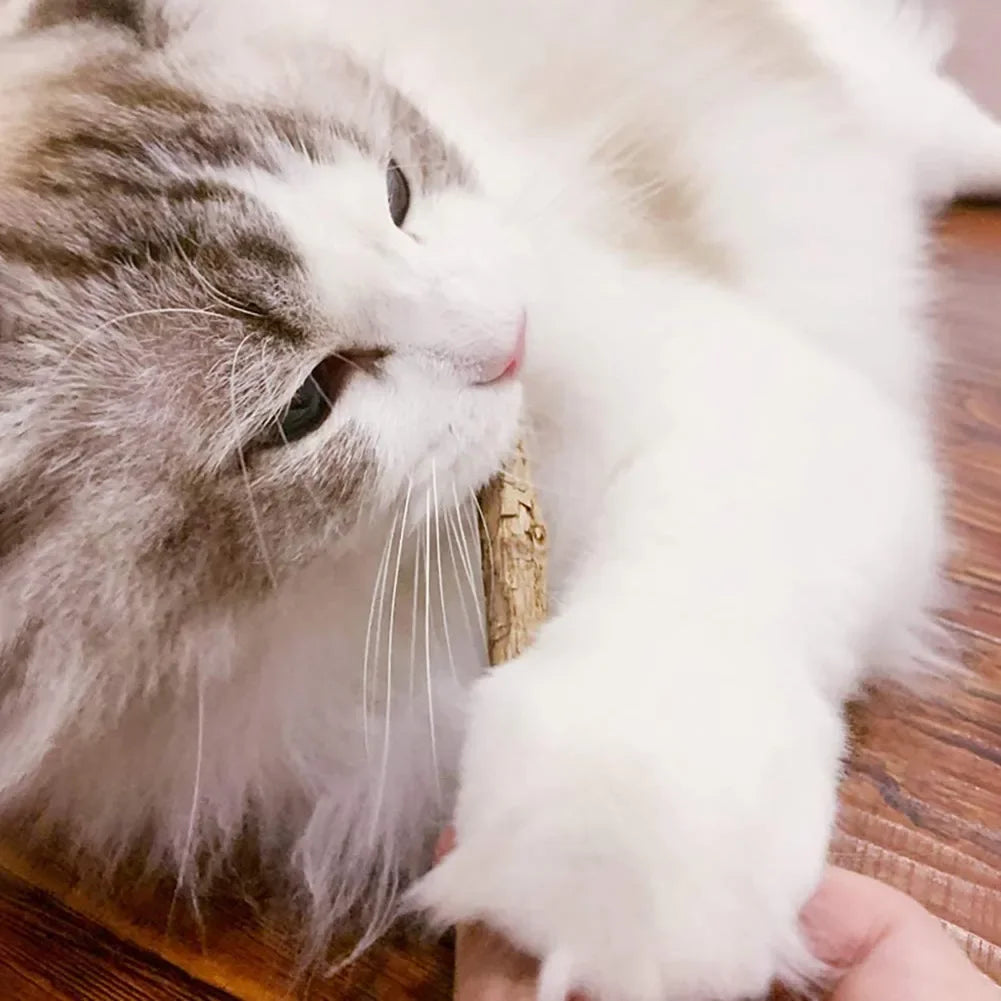 🌿 Palitos de Matatabi Masticables para Gatos (15 pzs)