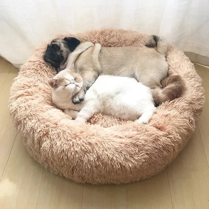 🛏️ Cama Redonda Suave para Perros (6 tamaños)
