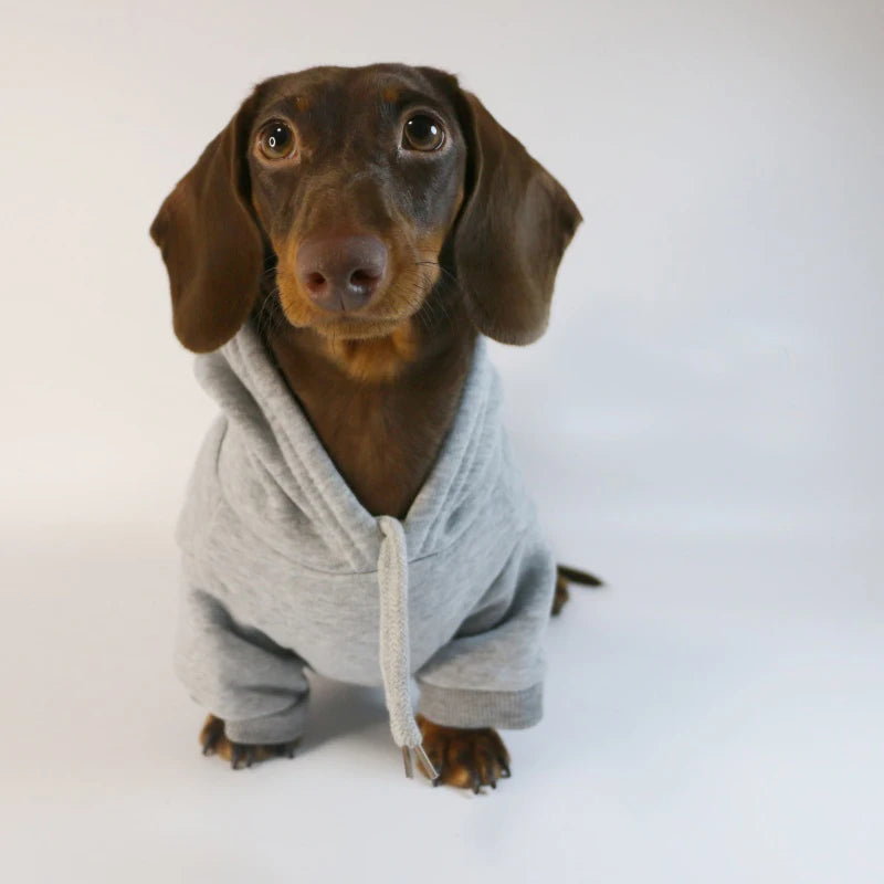 🌭 Sudadera Salchicha para Perros Pequeños