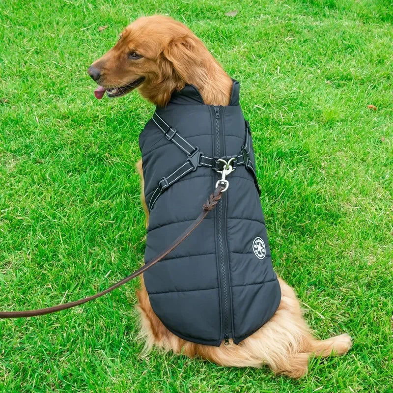 🧥 Chamarra con Arnés para Perros Grandes