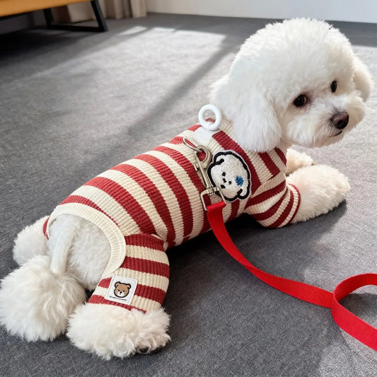 🧣 Suéter Rayado para Perro Pequeño