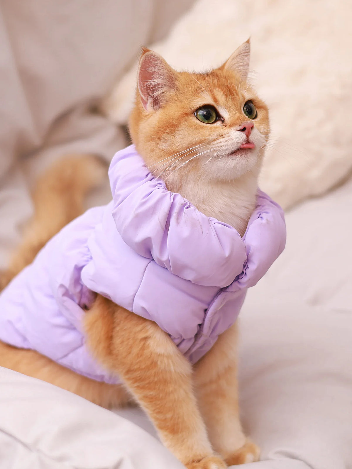 🧥 Abrigo Térmico de 3 Capas para Perros