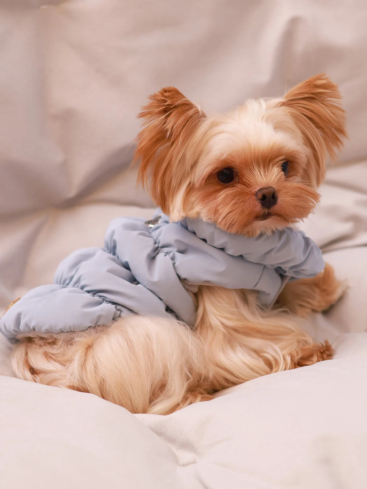 🧥 Abrigo Térmico de 3 Capas para Perros