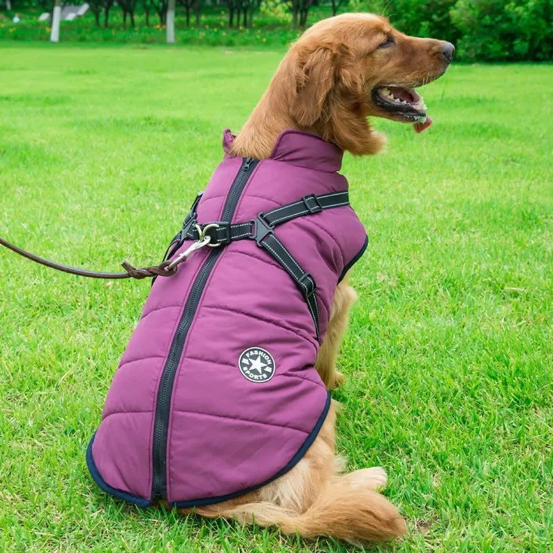 🧥 Chamarra con Arnés para Perros Grandes